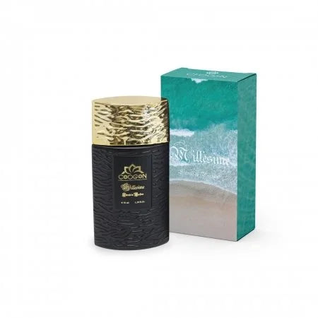 Aqua Soul for Him Perfume
